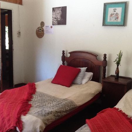 Dijembe Backpackers Lodge Stormsrivier Zewnętrze zdjęcie
