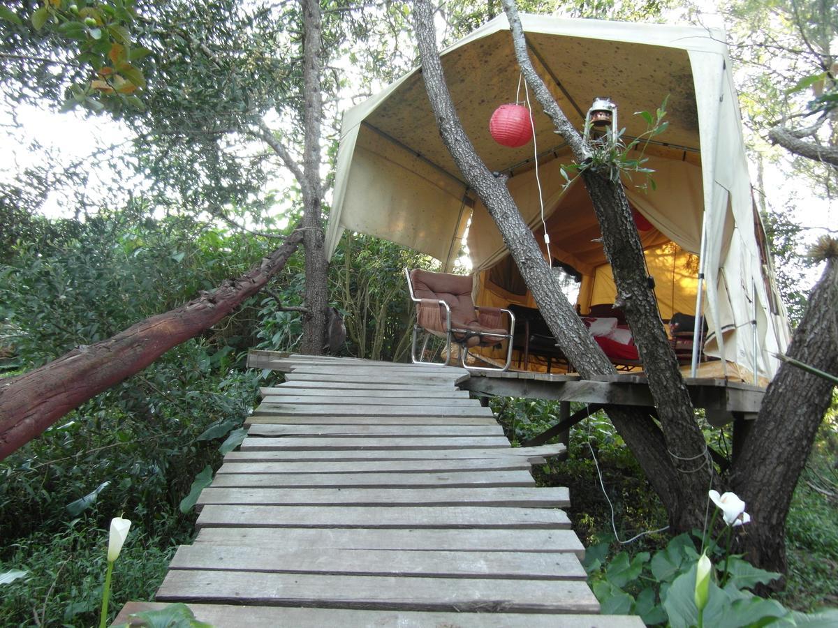 Dijembe Backpackers Lodge Stormsrivier Zewnętrze zdjęcie