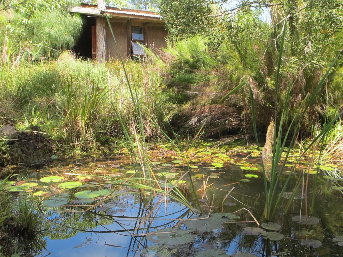 Dijembe Backpackers Lodge Stormsrivier Zewnętrze zdjęcie