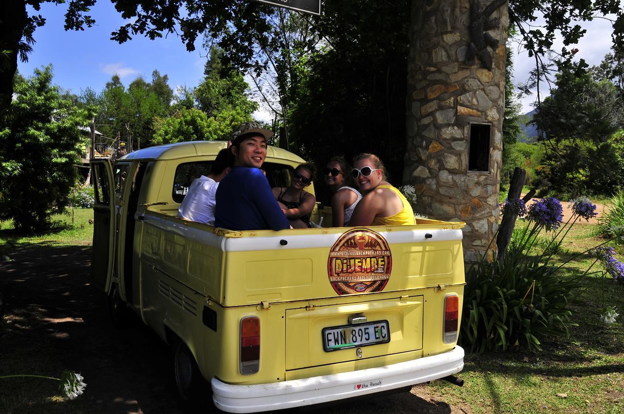 Dijembe Backpackers Lodge Stormsrivier Zewnętrze zdjęcie