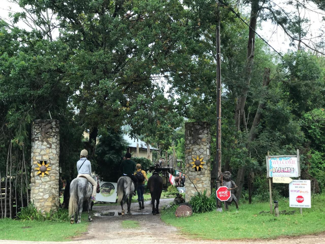 Dijembe Backpackers Lodge Stormsrivier Zewnętrze zdjęcie
