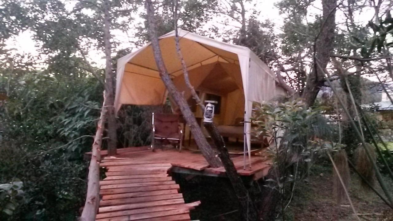 Dijembe Backpackers Lodge Stormsrivier Zewnętrze zdjęcie